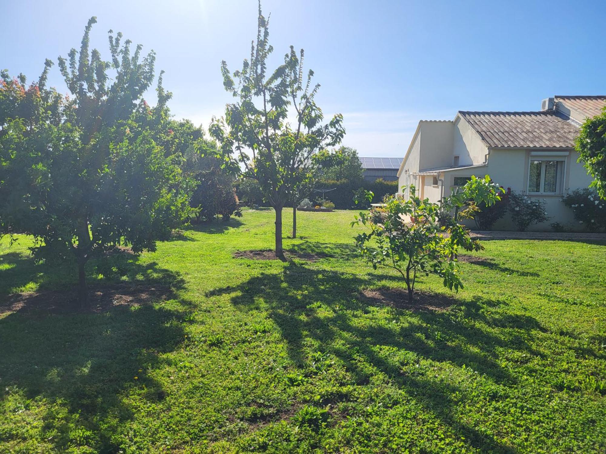 Maison Jumelee Cloturee Linguizzetta Exterior foto